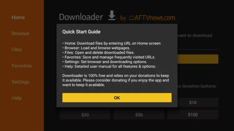 FireStick step 15