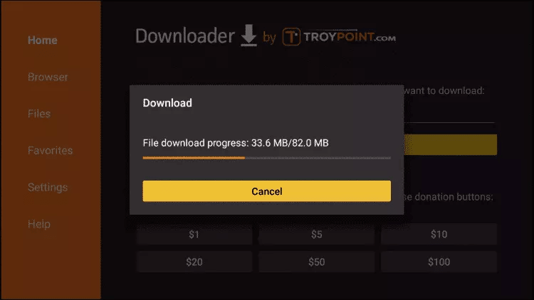 FireStick step 17